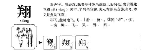 翔五行|翔字的五行属什么